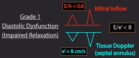 grade 1 lv diastolic dysfunction|Altro.